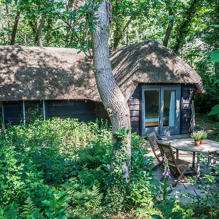 Aa Casia Vakantiehuis Zeegse Exterior foto